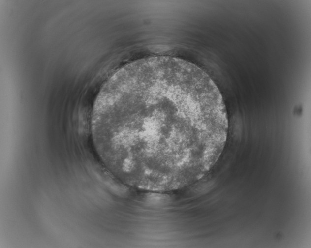 X0000112950234200910051226