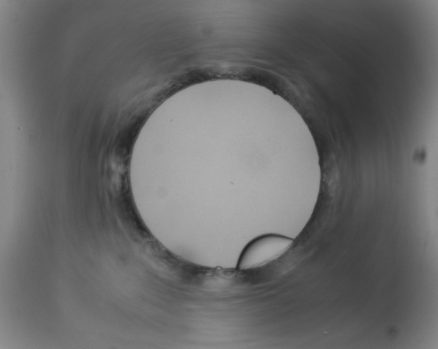 X0000112950235200910051226