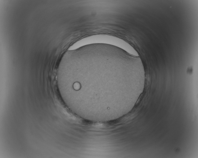 X0000112950237200910051226