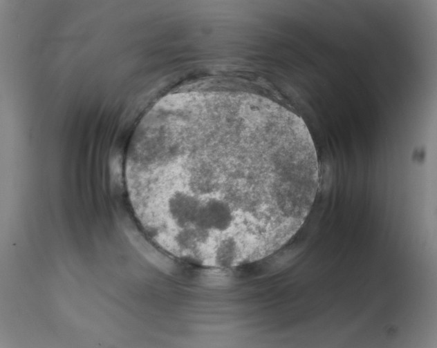 X0000112950238200910051226