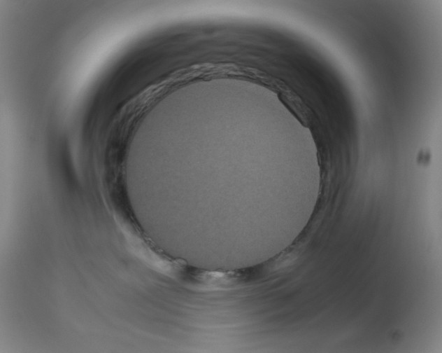 X0000112950239200910051226