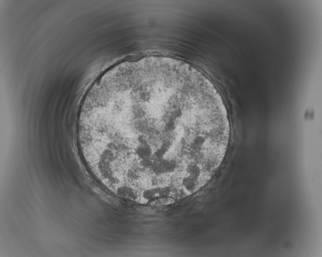 X0000112950241200910051225