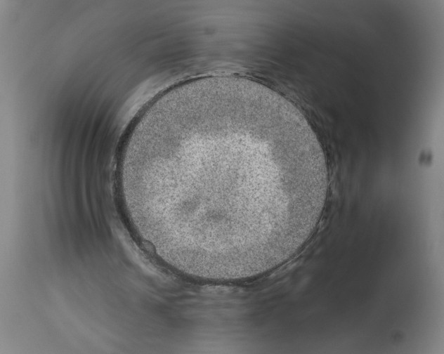 X0000112950242200910051225