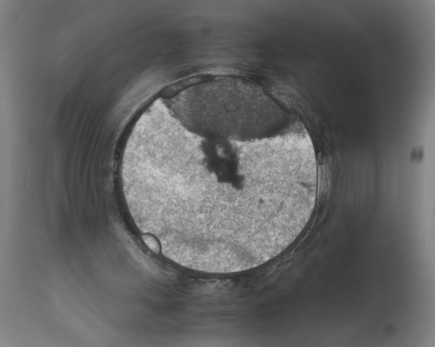 X0000112950243200910051225