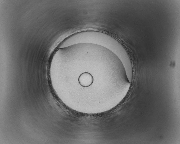 X0000112950244200910051225