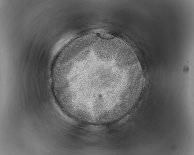 X0000112950245200910051225