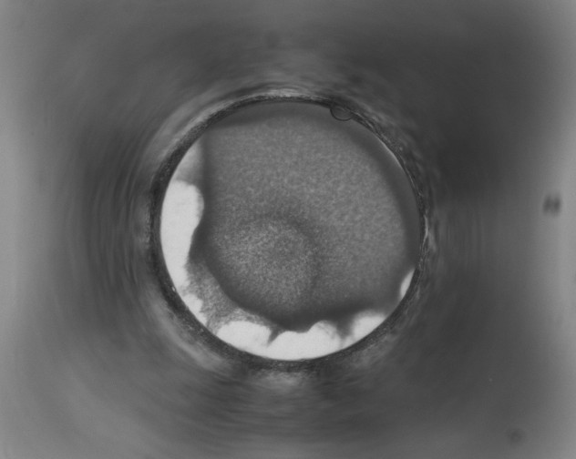 X0000112950247200910051225