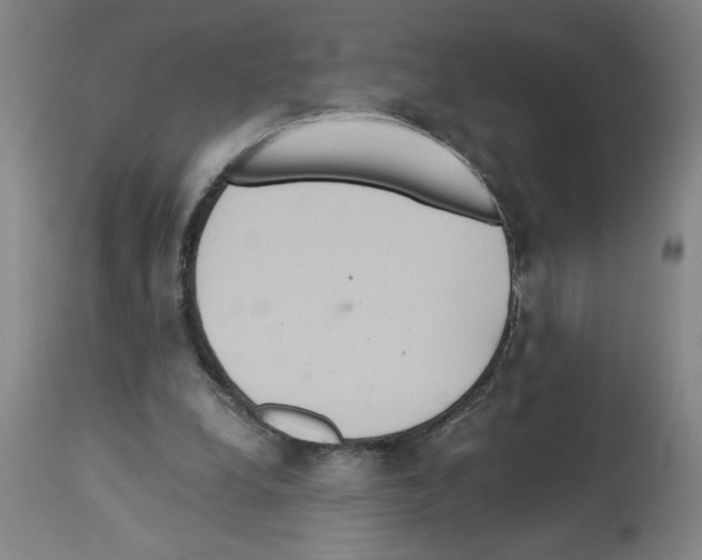 X0000112950248200910051225