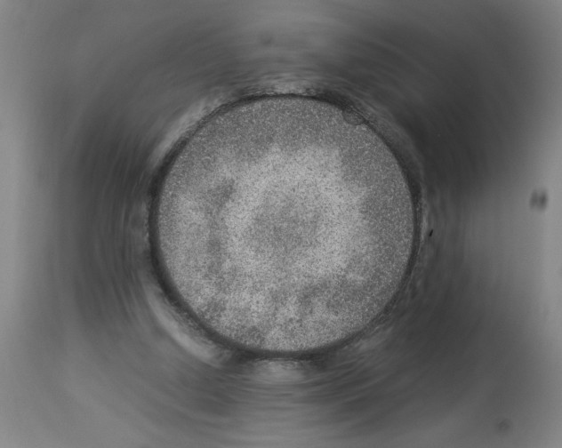 X0000112950250200910051225