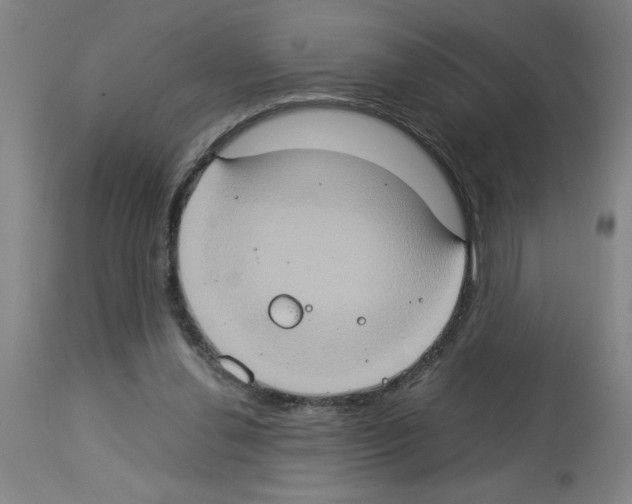 X0000112950252200910051225