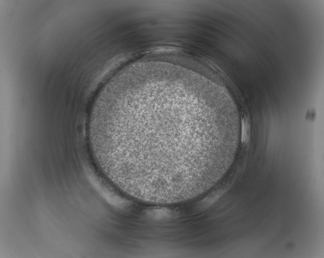 X0000112950253200910051225