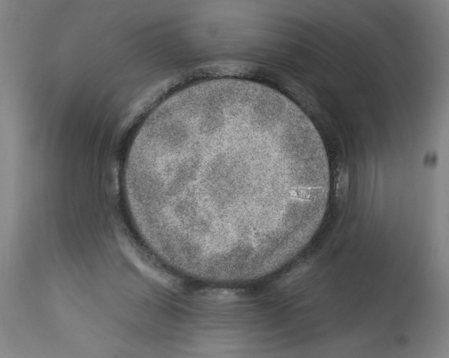 X0000112950254200910051225