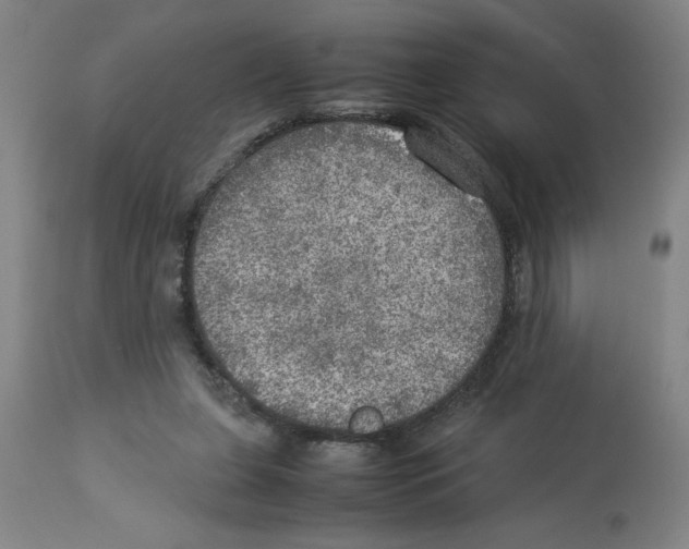 X0000112950255200910051225