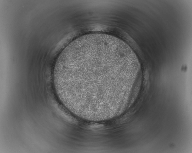 X0000112950257200910051225
