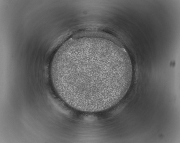 X0000112950258200910051225