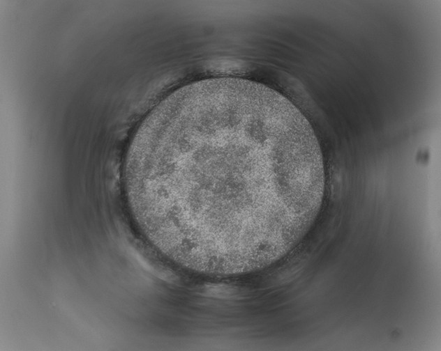 X0000112950259200910051226