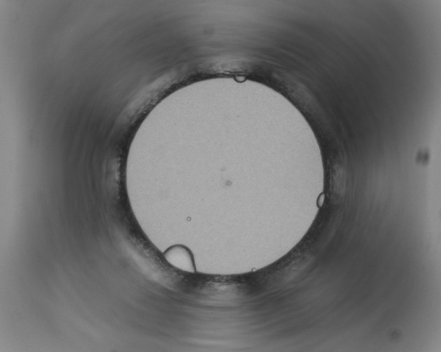 X0000112950260200910051226