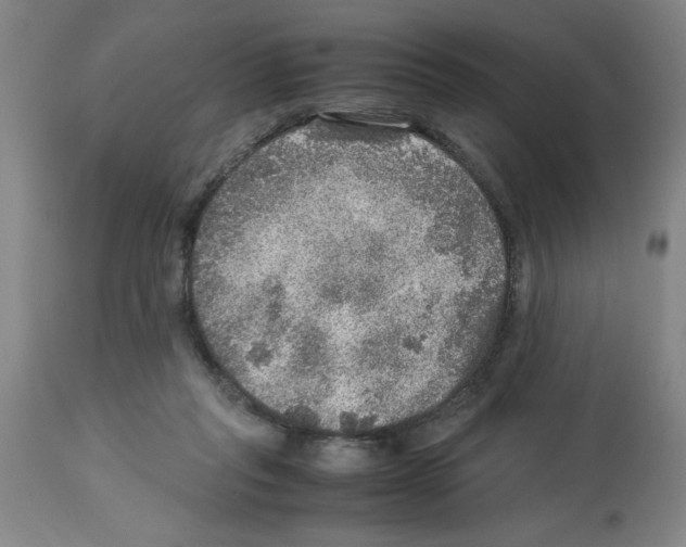 X0000112950261200910051226