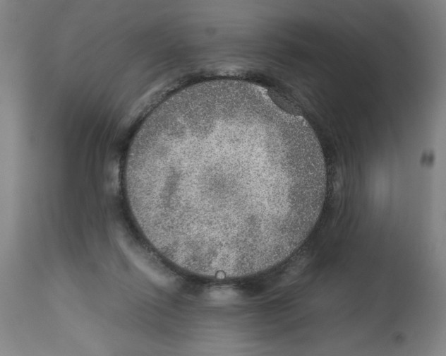 X0000112950262200910051226