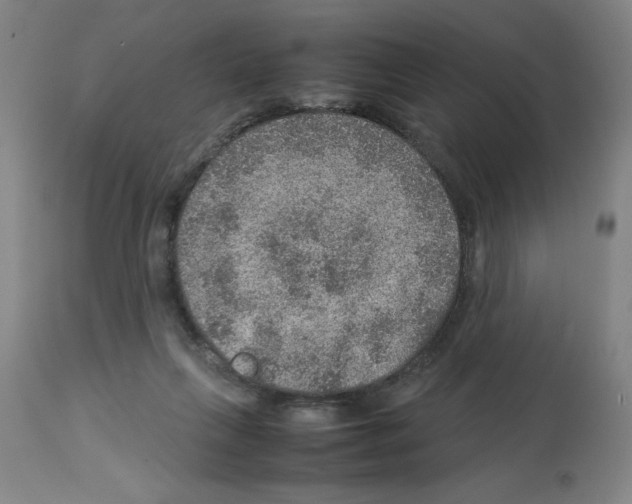 X0000112950263200910051226