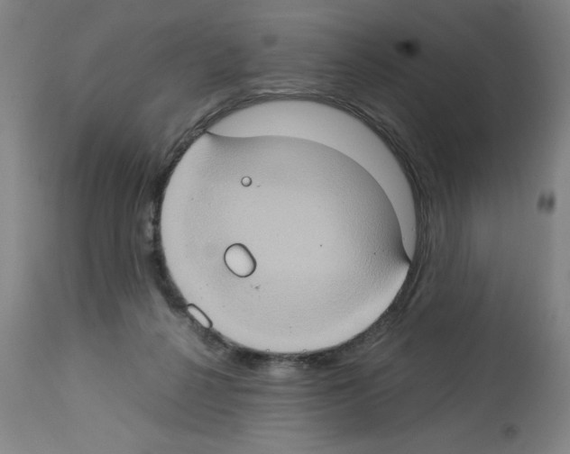 X0000112950264200910051226
