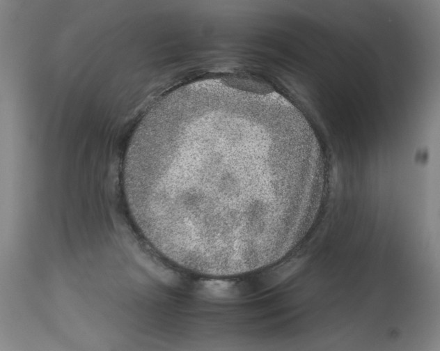 X0000112950265200910051226