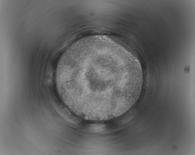 X0000112950266200910051226