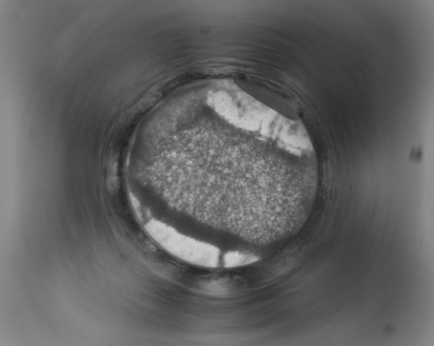 X0000112950267200910051226