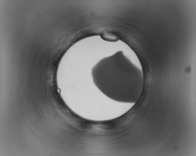 X0000112950268200910051226