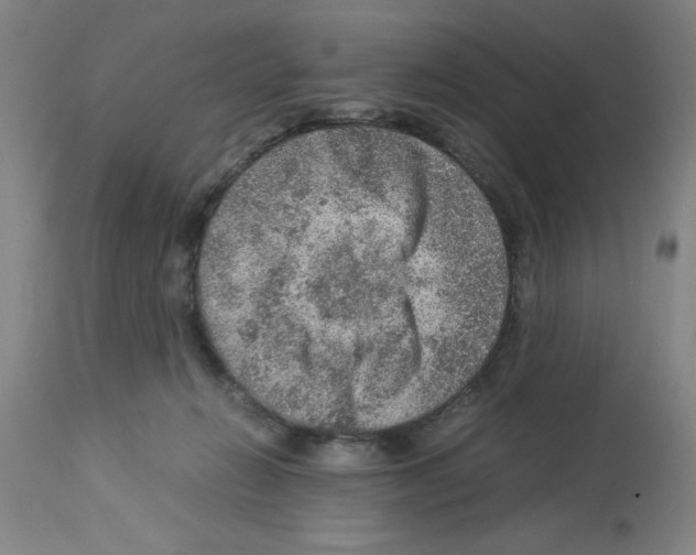 X0000112950270200910051226