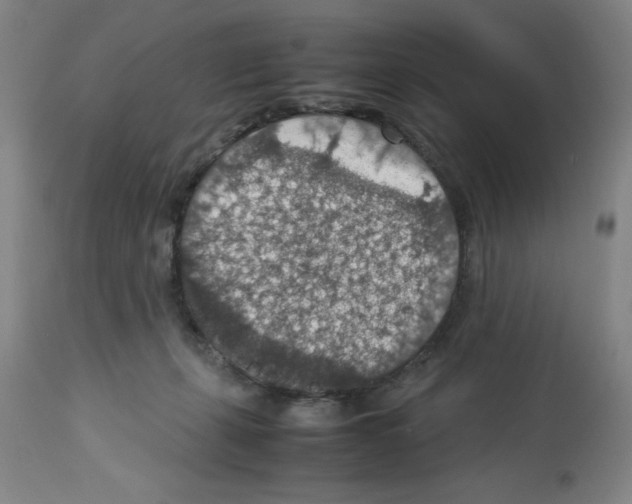 X0000112950271200910051226