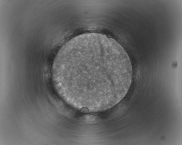 X0000112950272200910051226