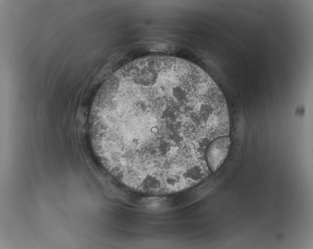 X0000112950273200910051226