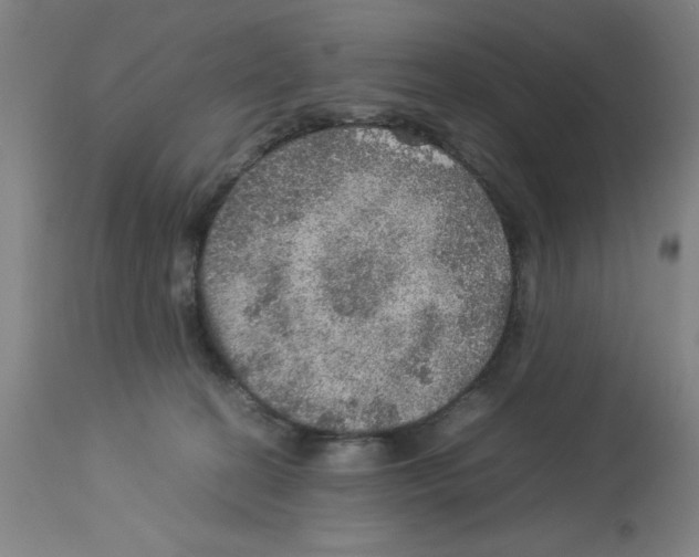 X0000112950274200910051226