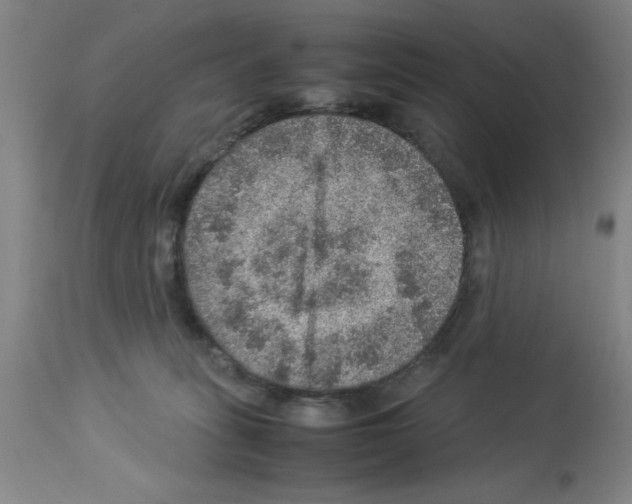 X0000112950275200910051226