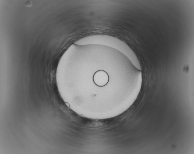 X0000112950276200910051226