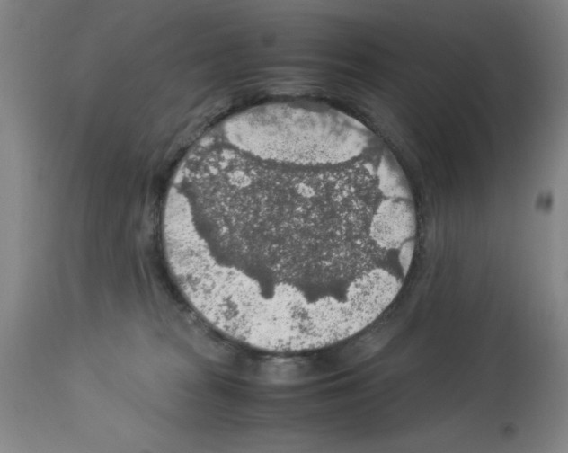 X0000112950277200910051226