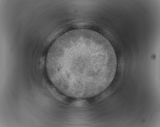 X0000112950278200910051226
