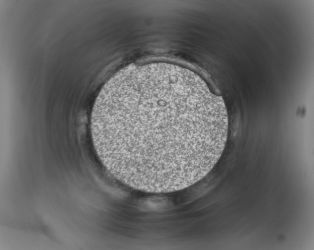 X0000112950279200910051226