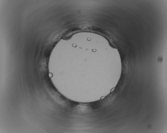 X0000112950280200910051226