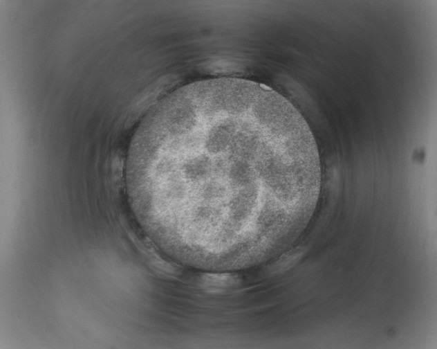 X0000112950281200910051226