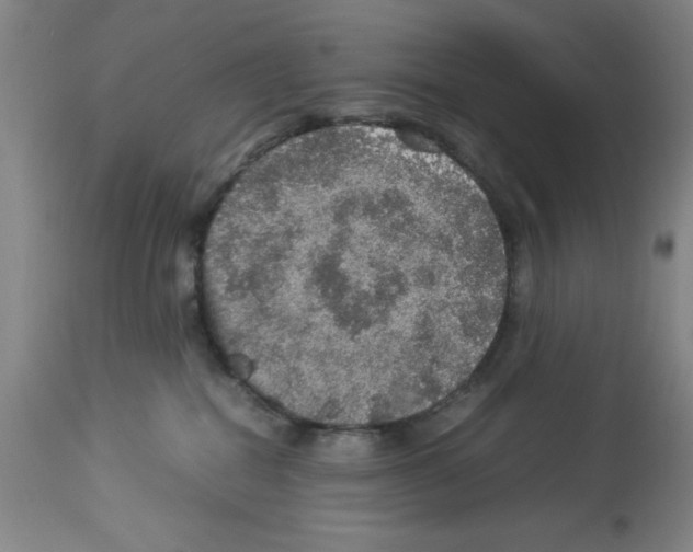 X0000112950282200910051226