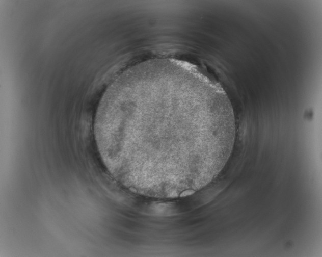 X0000112950283200910051226