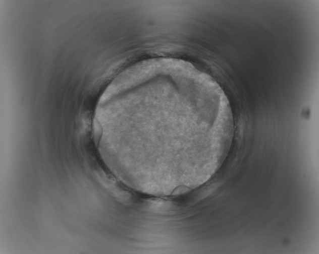 X0000112950284200910051226