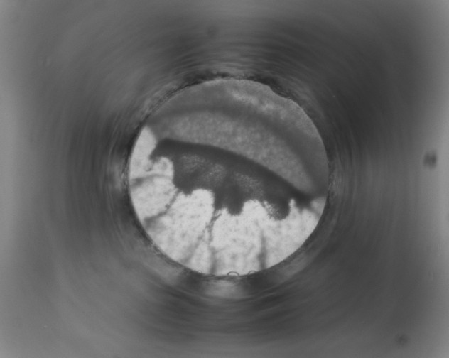 X0000112950285200910051226