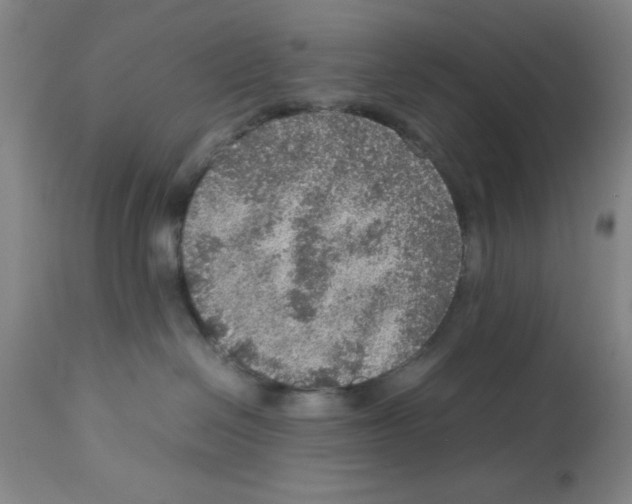X0000112950286200910051226