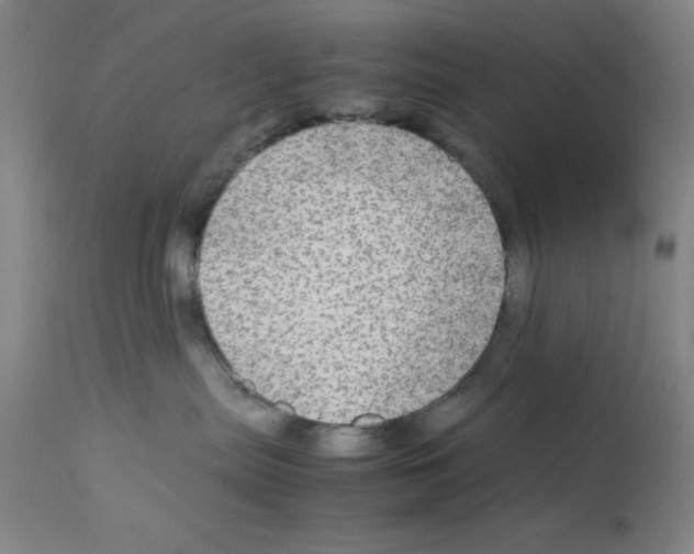 X0000112950287200910051226
