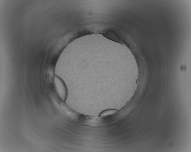 X0000112950288200910051226