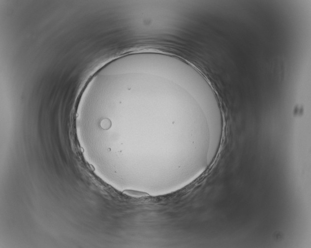 X0000112950289200910051225