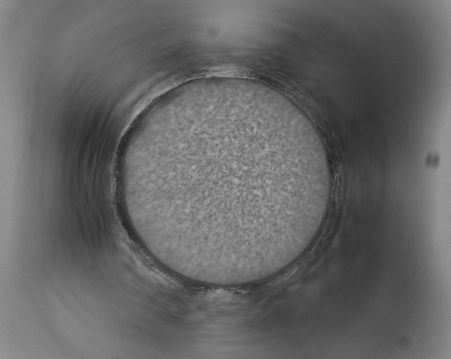 X0000112950290200910051225